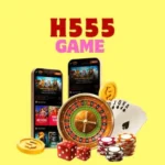H555 Game